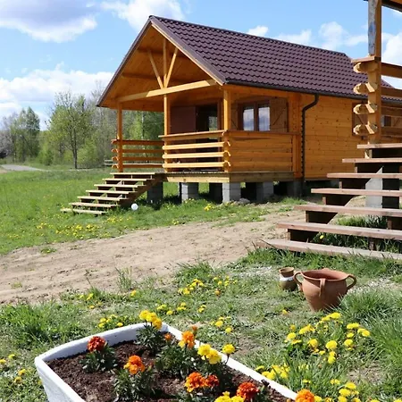 Abisynia Kaszubska Wiele Borsk Miedzy Jeziorami Wielewskim I Wdzydzkim Karsin Exterior foto