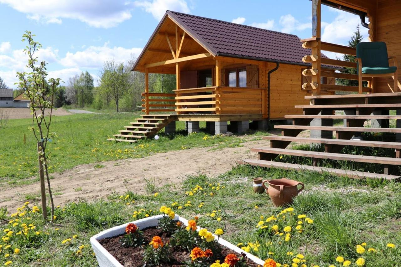 Ferienhaus Abisynia Kaszubska Wiele Borsk Miedzy Jeziorami Wielewskim I Wdzydzkim Karsin