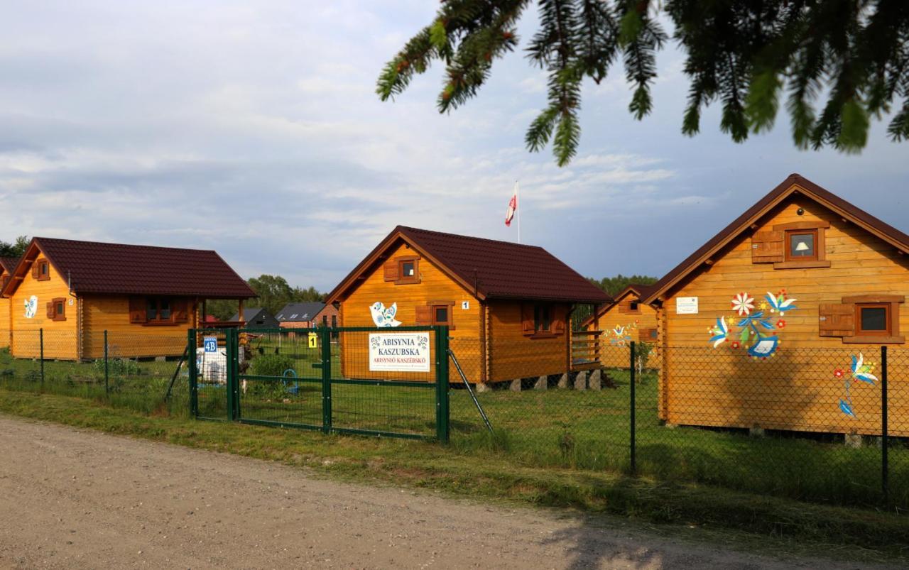 Abisynia Kaszubska Wiele Borsk Miedzy Jeziorami Wielewskim I Wdzydzkim * Karsin